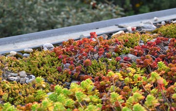 the cost of Shelland green roof installation