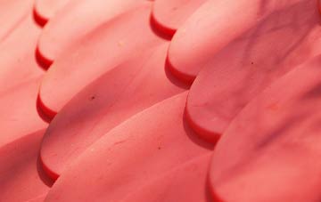 Shelland plastic roof costs