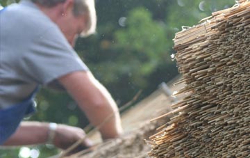 professional Shelland thatchers