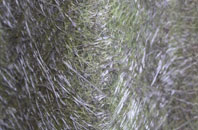 Shelland fibreglass roof work