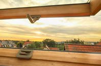 rated Shelland roof window companies